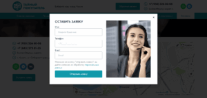 Mystery shopper, online checks, competitor audit, traffic counting, secret employee 7