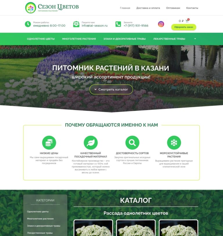 Seedlings of annual flower crops and perennial plants of our own production