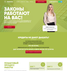 Долги по кредитным картам, Долги по ЖКХ, кредиты и микрозаймы, Долги по налогам, Долги по поручительству, Займы под расписку